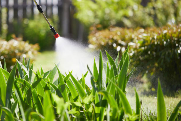 Tamper-Resistant Bait Stations for Rodents in Carey