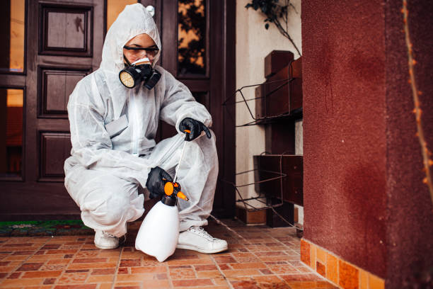Attic and Crawl Space Rodent Treatment in Carey