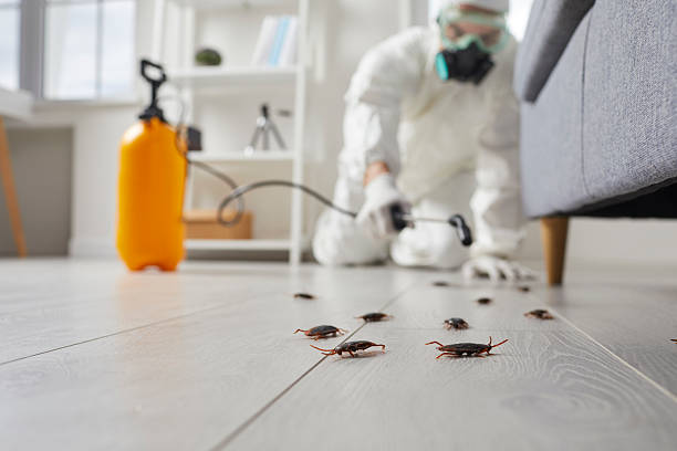 Commercial Rodent Management in Carey